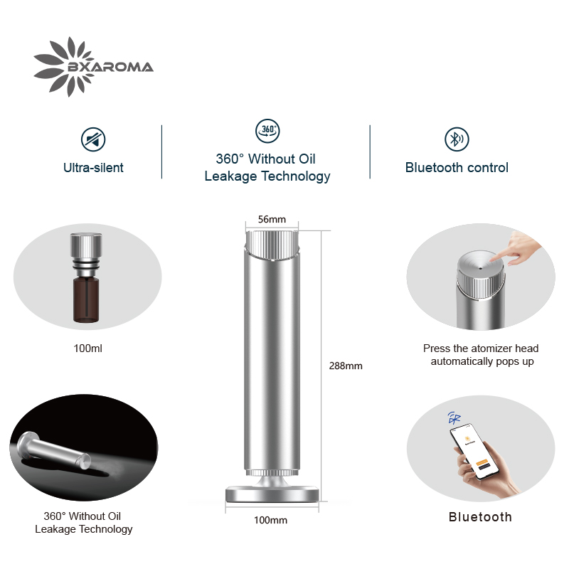Silver Aromatherapy Essential  - đánh giá và giá Home Fragrance Market