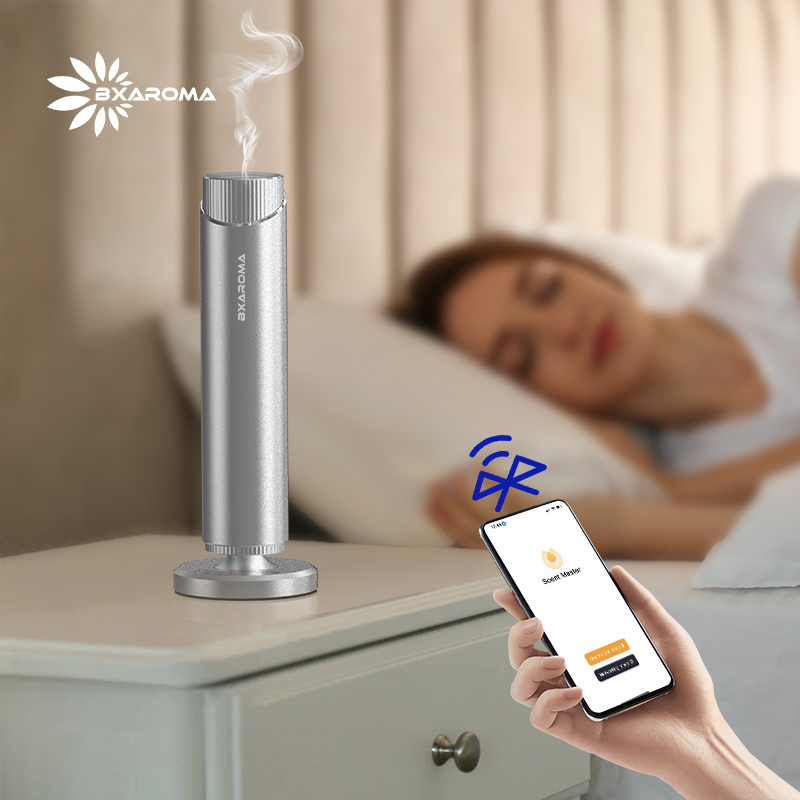 Silver Aromatherapy Essential  - đánh giá và giá Home Fragrance Market
