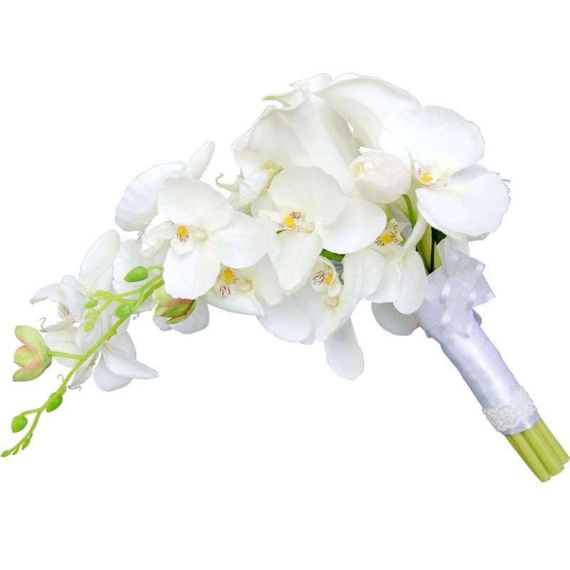 French romantic wedding white  - đánh giá và giá Home Fragrance French