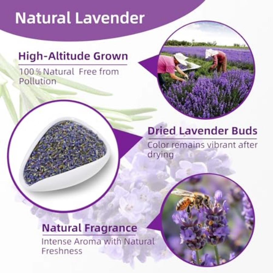 36 Pack Lavender Sachet Bags - - đánh giá và giá Home Fragrance French